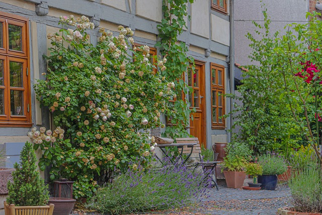 Creatieve ideeën voor plantenbakken buiten in je tuin of op je balkon